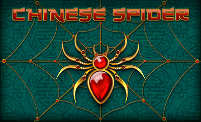 Chinese Spider