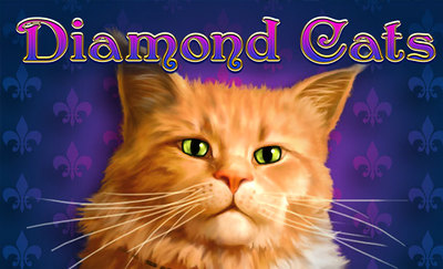 Diamond Cats