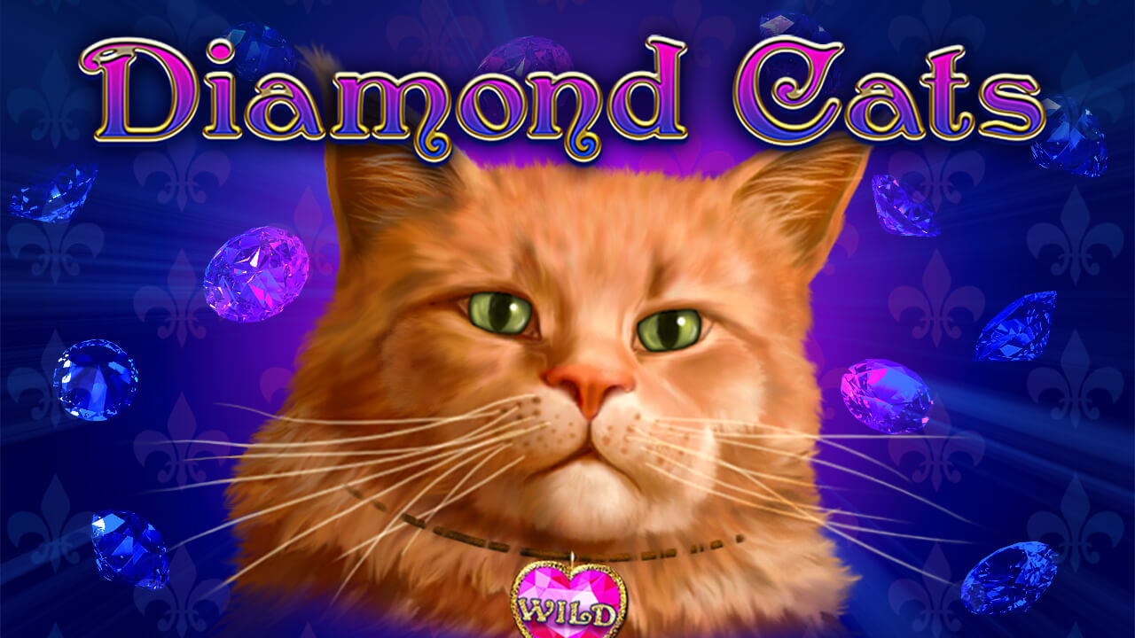 Diamond Cats